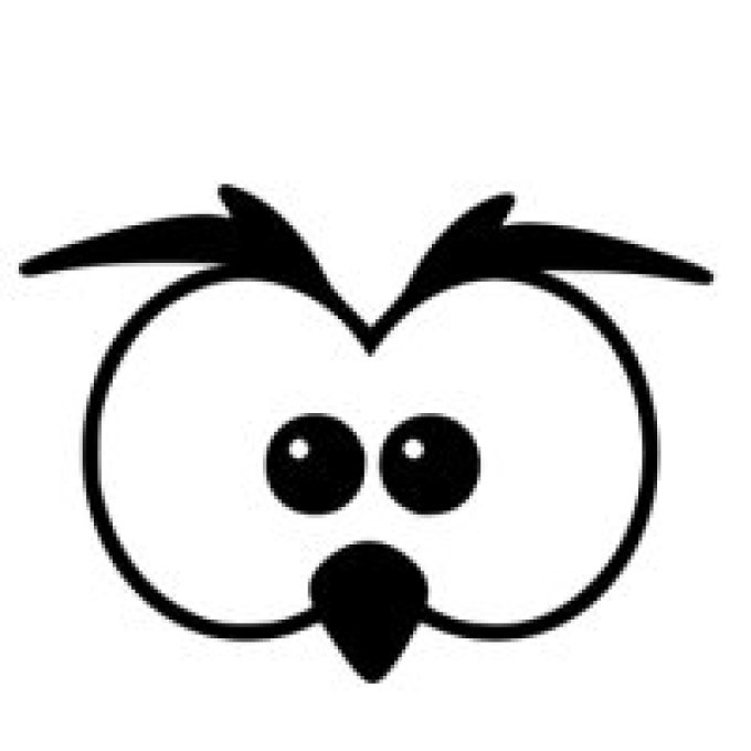 Appliqué Flex Halloween hibou