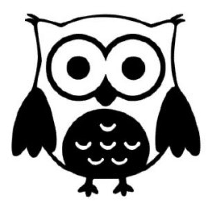 Appliqué Flex hibou